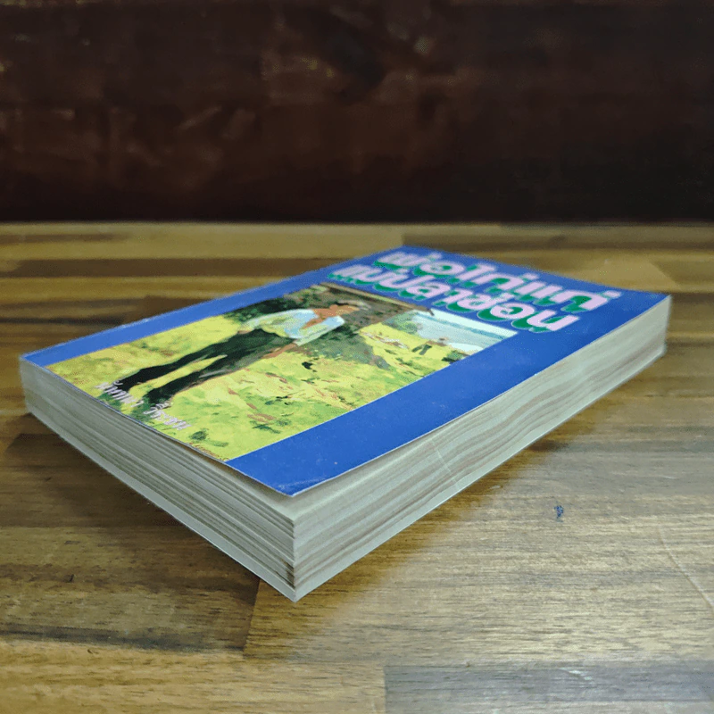 พ่อไก่แก่แม่ปลาช่อน - นันทนา วีระชน รูปที่ 4
