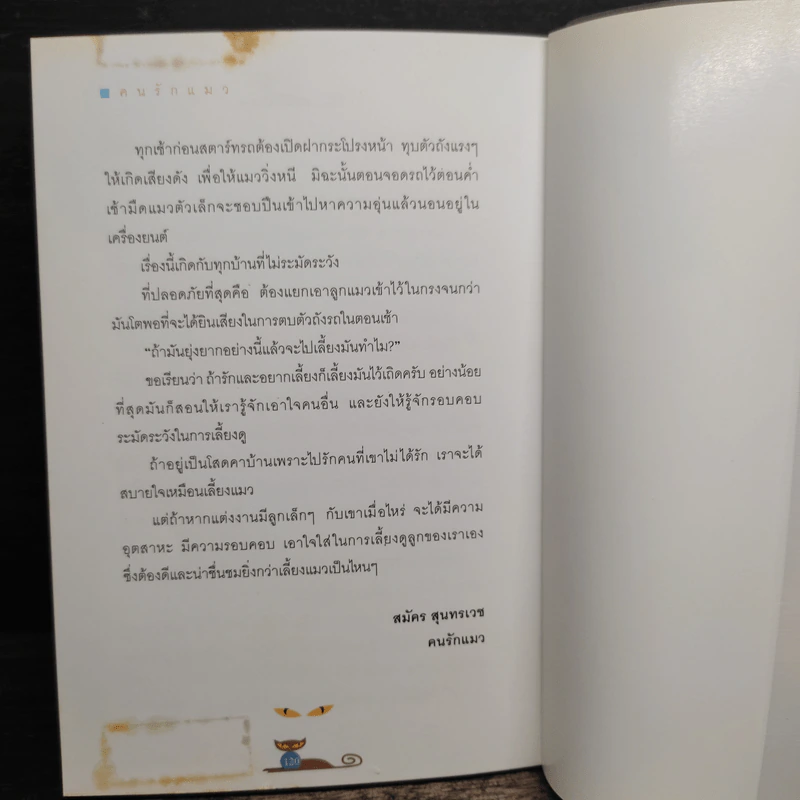 คนรักแมว - สมัคร สุนทรเวช รูปที่ 9