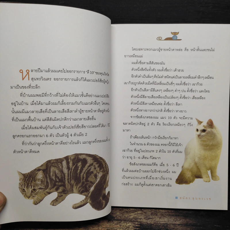 คนรักแมว - สมัคร สุนทรเวช รูปที่ 8