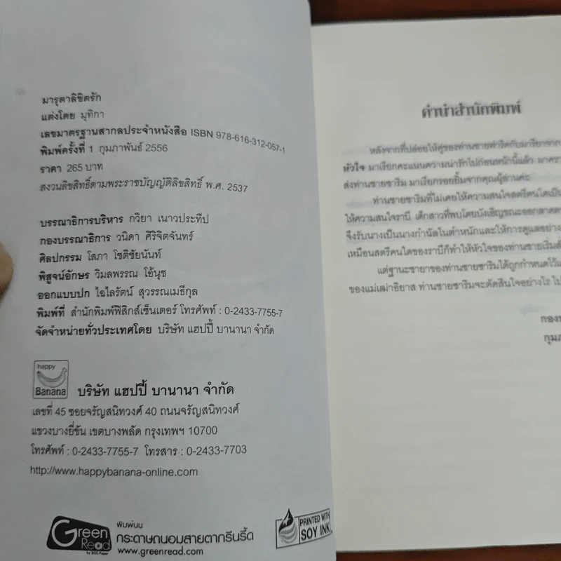 มารุตาลิขิตรัก - มุทิกา รูปที่ 6