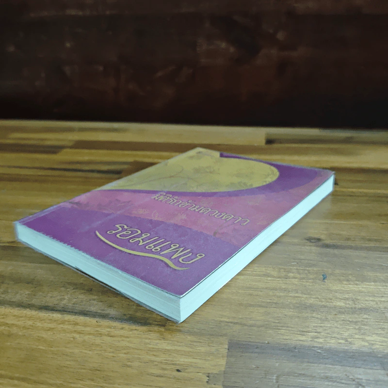 มิติรักข้ามดวงดาว - รอมแพง รูปที่ 4