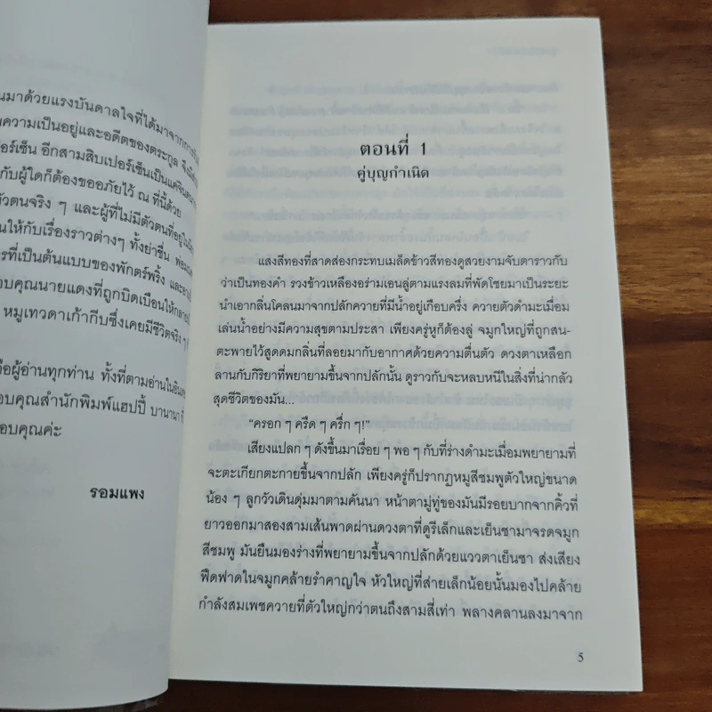 ลูกทุ่งโมดิฟายด์ - รอมแพง รูปที่ 7