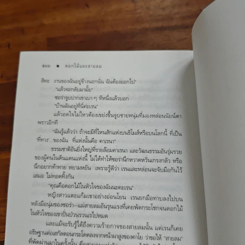ดอกไม้และสายลม - ดวงตะวัน รูปที่ 9