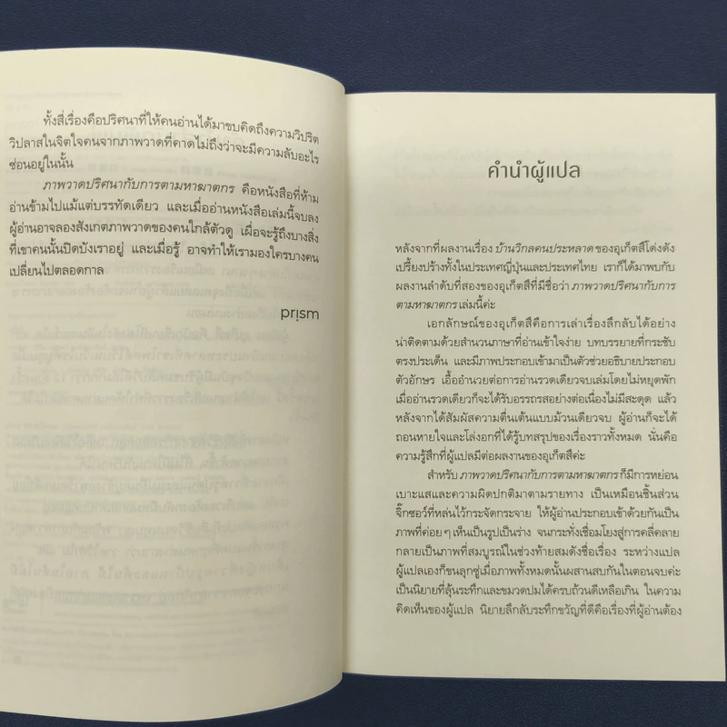 ภาพวาดปริศนากับการตามหาฆาตกร - อุเก็ตสึ รูปที่ 6