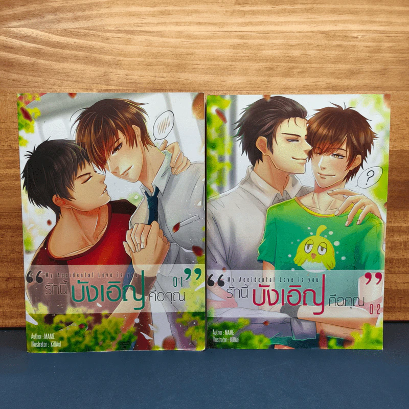 My Accidental Love is You รักนี้บังเอิญคือคุณ 2 เล่มจบ - MAME รูปที่ 1