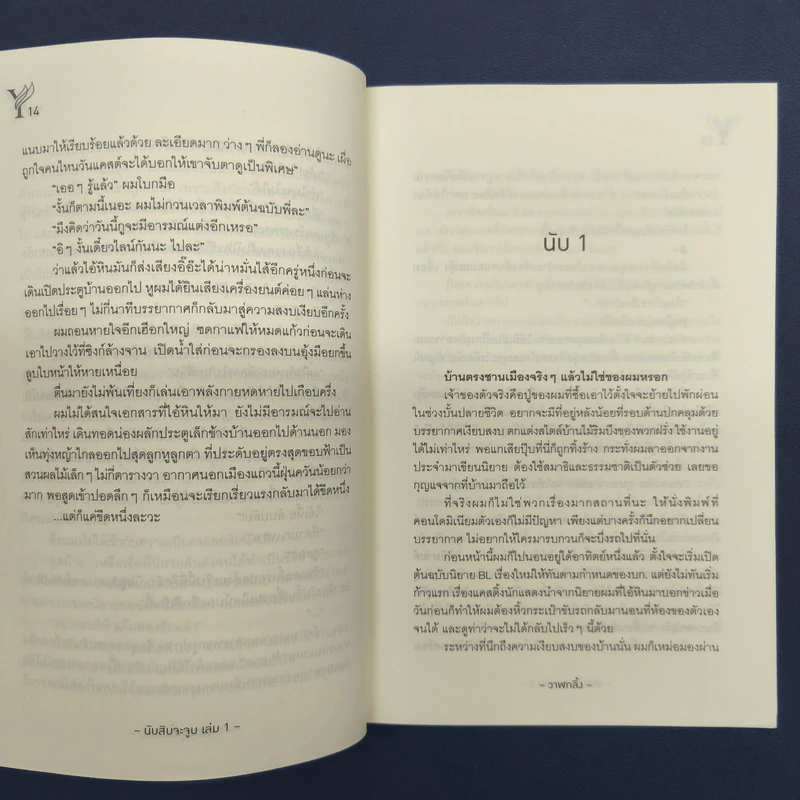 นิยายวาย นับสิบจะจูบ 2 เล่มจบ - วาฬกลิ้ง รูปที่ 10