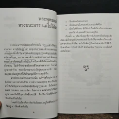 กลยุทธ์ชนะอุปสรรค - พระภาวนาวิริยคุณ รูปที่ 8