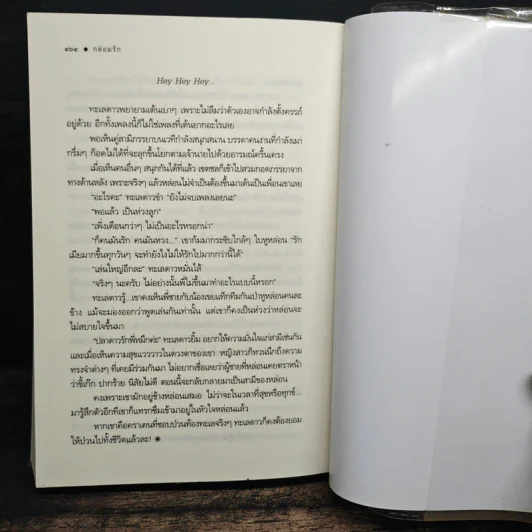 กล่อมรัก - ผักบุ้ง รูปที่ 8