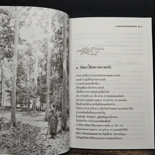 วาทะธรรมว่าด้วยพุทธศาสนา - พุทธทาสภิกขุ รูปที่ 7