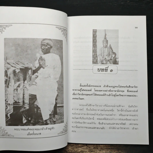 พระวิญาณห่วงหาอาวรณ์สยาม - อนันต์ อมรรตัย รูปที่ 8