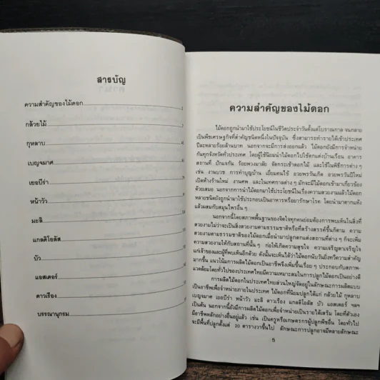 ไม้ดอกเศรษฐกิจ - ไมตรี ปทุมวงษ์ รูปที่ 8