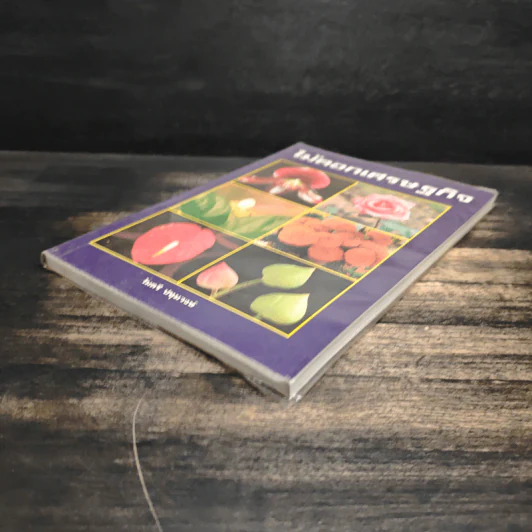 ไม้ดอกเศรษฐกิจ - ไมตรี ปทุมวงษ์ รูปที่ 4
