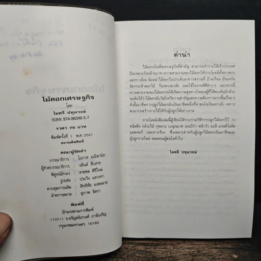 ไม้ดอกเศรษฐกิจ - ไมตรี ปทุมวงษ์ รูปที่ 7