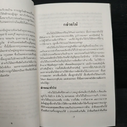 ไม้ดอกเศรษฐกิจ - ไมตรี ปทุมวงษ์ รูปที่ 9