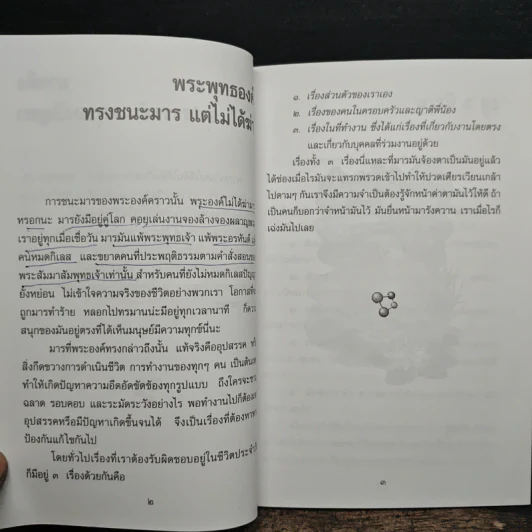 กลยุทธ์ชนะอุปสรรค - พระภาวนาวิริยคุณ รูปที่ 8