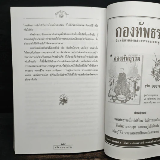 เชิงผาหิมพานต์ - สุชีพ ปุญญานุภาพ รูปที่ 10