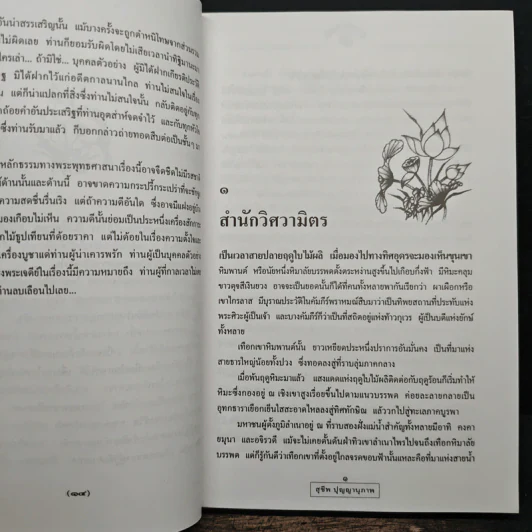 เชิงผาหิมพานต์ - สุชีพ ปุญญานุภาพ รูปที่ 9
