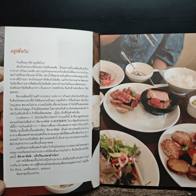 อิตาดาคิมัส ทริปกินแหลกล้างโลก - แวววรรณ หงษ์วิวัฒน์ รูปที่ 6
