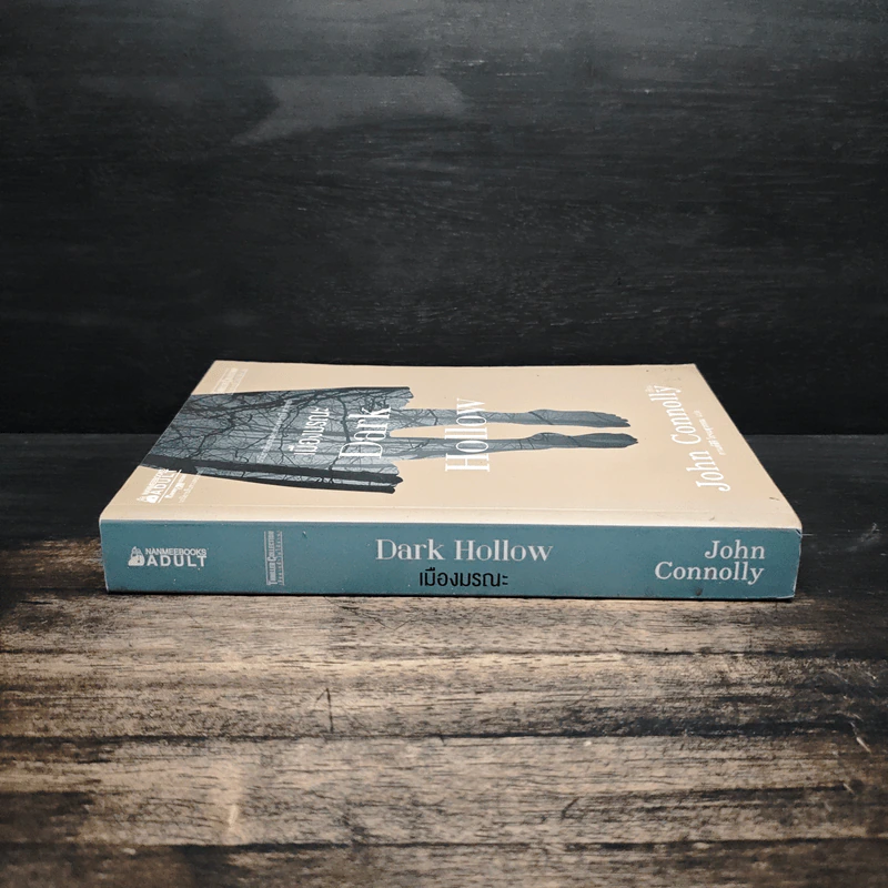เมืองมรณะ Dark Hollow - John Connolly รูปที่ 3