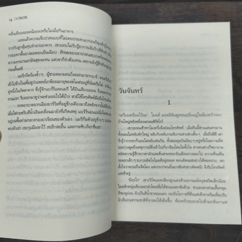 เก้าอี้ว่าง The Casual Vacancy - J.K.Rowling รูปที่ 9