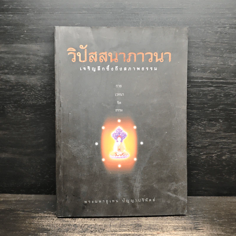วิปัสสนาภาวนา เจริญลึกซึ้งถึงสภาพธรรม - พระมหาอุเทน ปัญญาปริทัตต์ รูปที่ 1