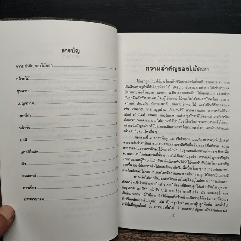 ไม้ดอกเศรษฐกิจ - ไมตรี ปทุมวงษ์ รูปที่ 8