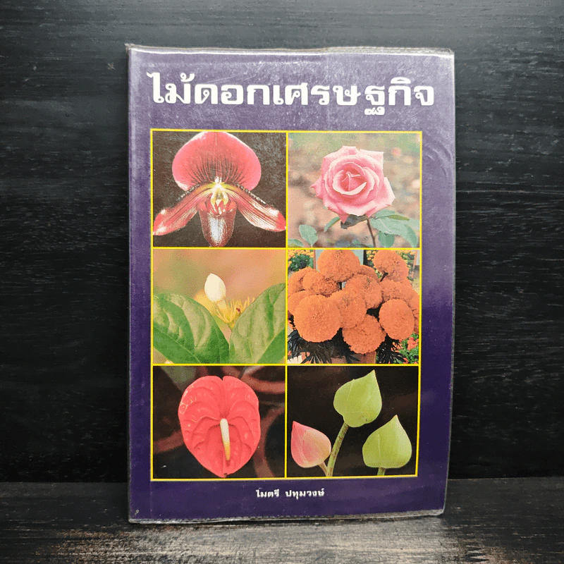 ไม้ดอกเศรษฐกิจ - ไมตรี ปทุมวงษ์ รูปที่ 1