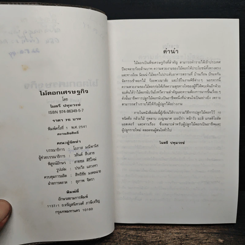 ไม้ดอกเศรษฐกิจ - ไมตรี ปทุมวงษ์ รูปที่ 7