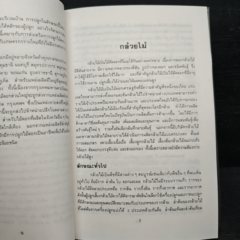 ไม้ดอกเศรษฐกิจ - ไมตรี ปทุมวงษ์ รูปที่ 9