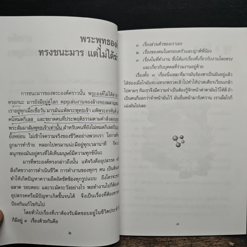 กลยุทธ์ชนะอุปสรรค - พระภาวนาวิริยคุณ รูปที่ 8