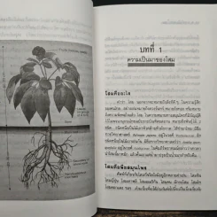 ความลับของโสม จากสูตรยาตุ๋นถึงงานวิจัย - อรชุน เลียววัฒนะผล รูปที่ 8