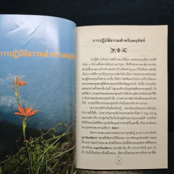 ฐานิโยบูชา รูปที่ 7