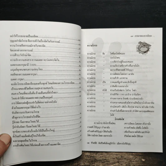 การเอาชนะความโกรธ - ศีลนี รูปที่ 8