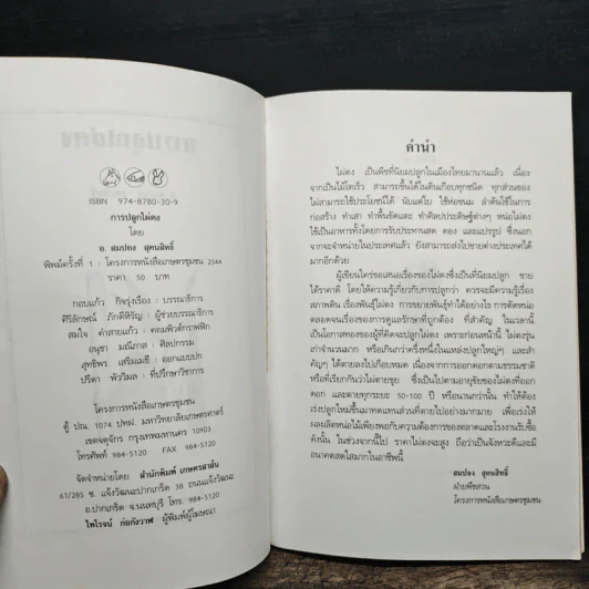 การปลูกไผ่ตง - โครงการหนังสือเกษตรชุมชน รูปที่ 6