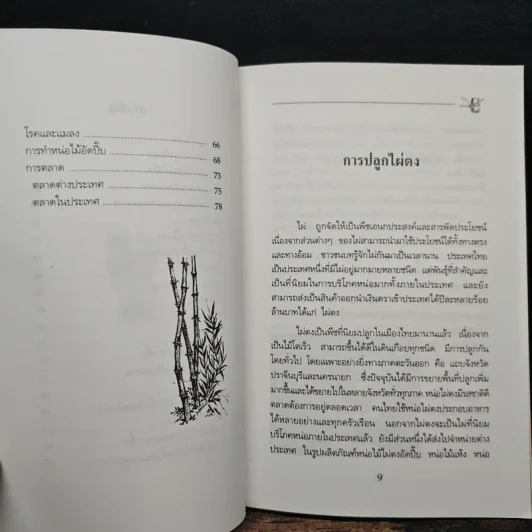 การปลูกไผ่ตง - โครงการหนังสือเกษตรชุมชน รูปที่ 8