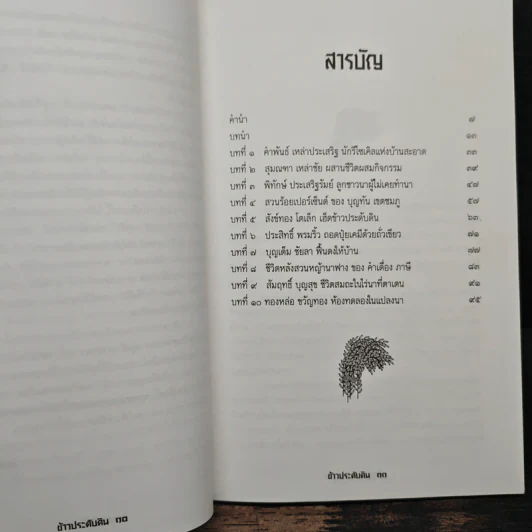 ข้าวประดับดิน - กลุ่มศึกษาเกษตรกรรมธรรมชาติ รูปที่ 8