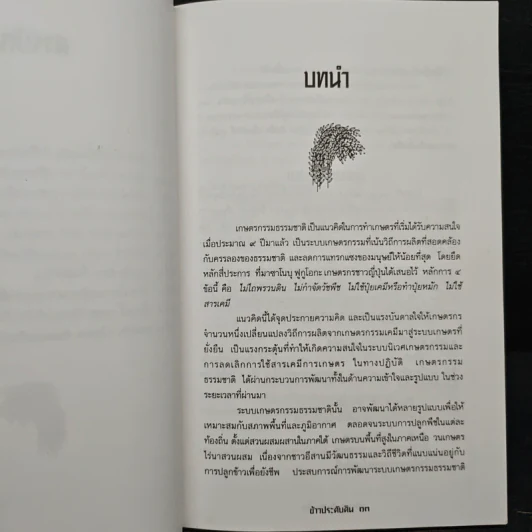 ข้าวประดับดิน - กลุ่มศึกษาเกษตรกรรมธรรมชาติ รูปที่ 9