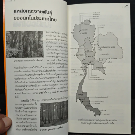คู่มือดูนก - รุ่งโรจน์ จุกมงคล รูปที่ 8