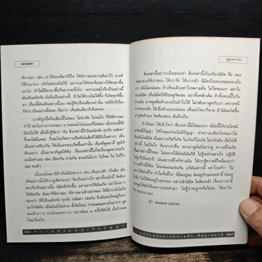 รวมพระธรรมเทศนาของหลวงพ่อชา สุภัทโท ฉบับธรรมานุสสติ แนวทางการปฏิบัติธรรม รูปที่ 9
