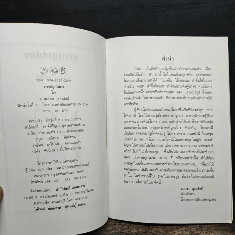 การปลูกไผ่ตง - โครงการหนังสือเกษตรชุมชน รูปที่ 6
