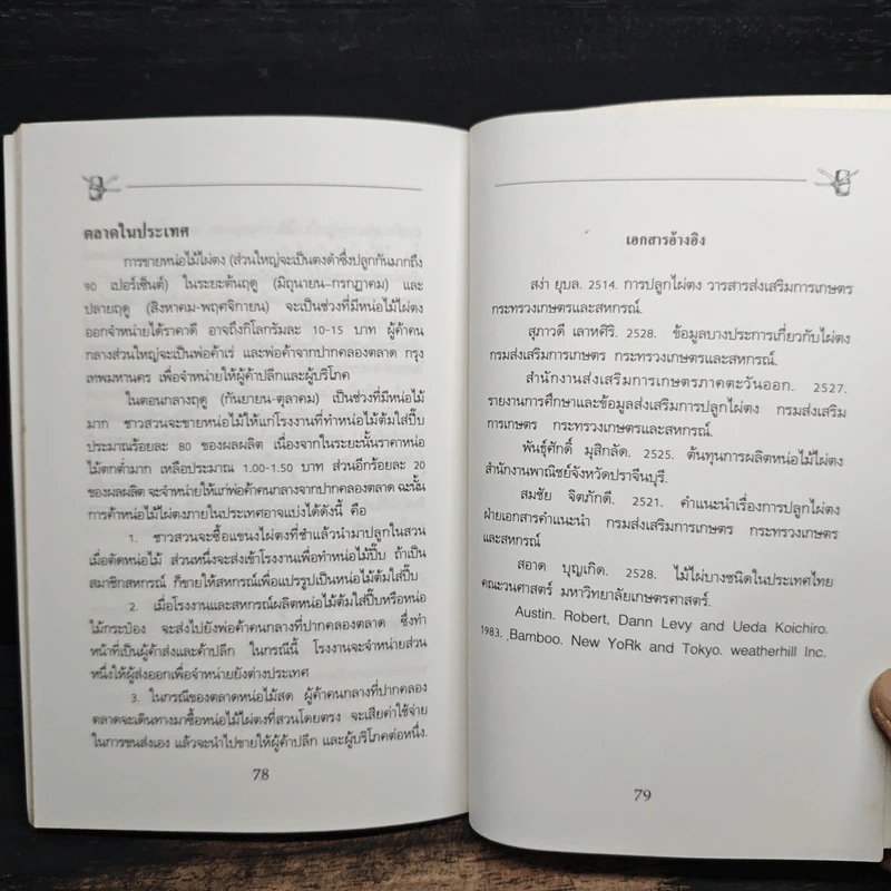 การปลูกไผ่ตง - โครงการหนังสือเกษตรชุมชน รูปที่ 9