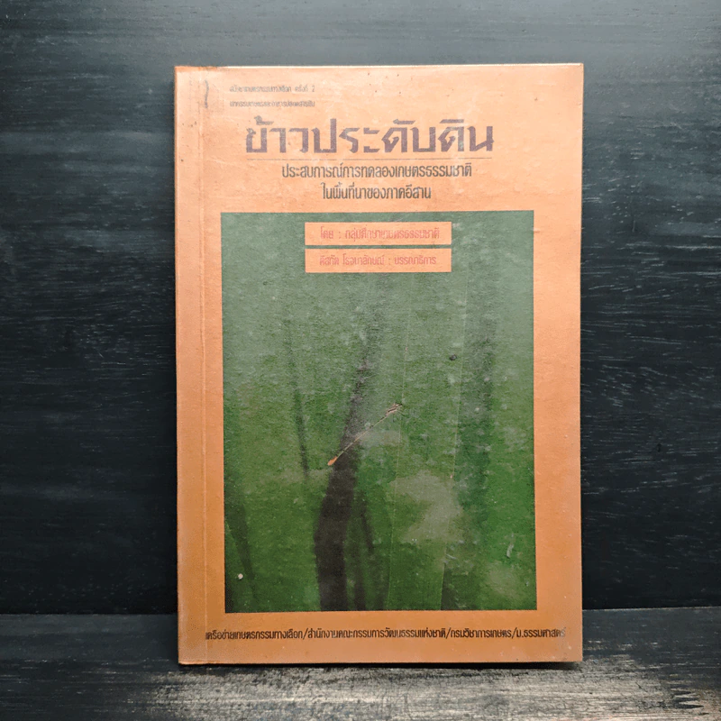 ข้าวประดับดิน - กลุ่มศึกษาเกษตรกรรมธรรมชาติ รูปที่ 1