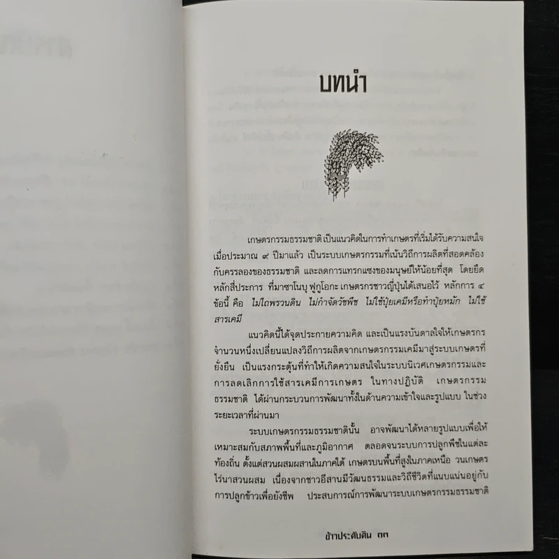 ข้าวประดับดิน - กลุ่มศึกษาเกษตรกรรมธรรมชาติ รูปที่ 9