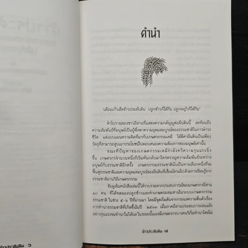 ข้าวประดับดิน - กลุ่มศึกษาเกษตรกรรมธรรมชาติ รูปที่ 7