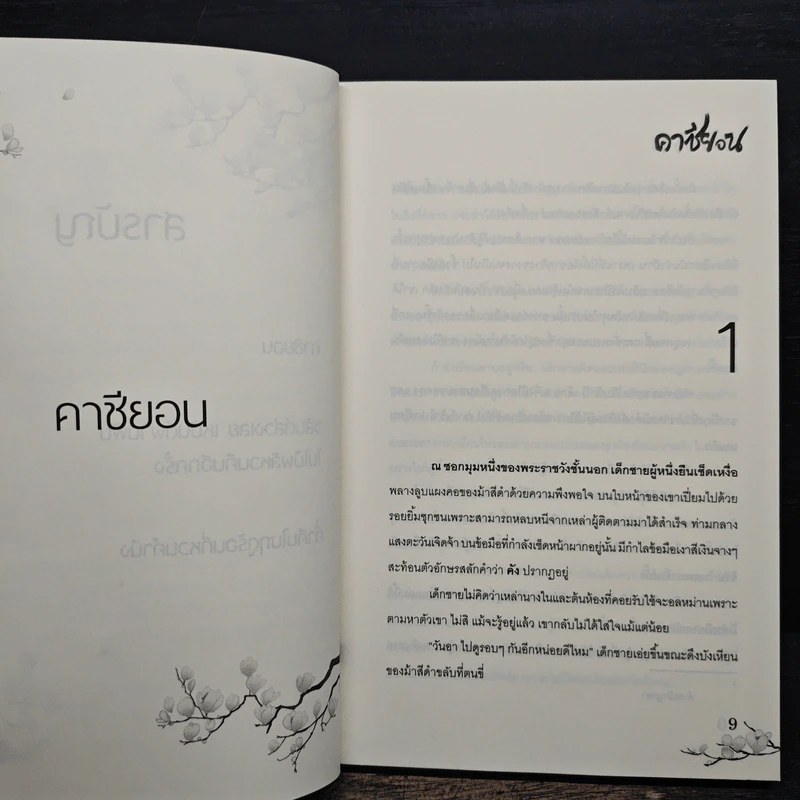 คาซียอน - Anasis รูปที่ 8