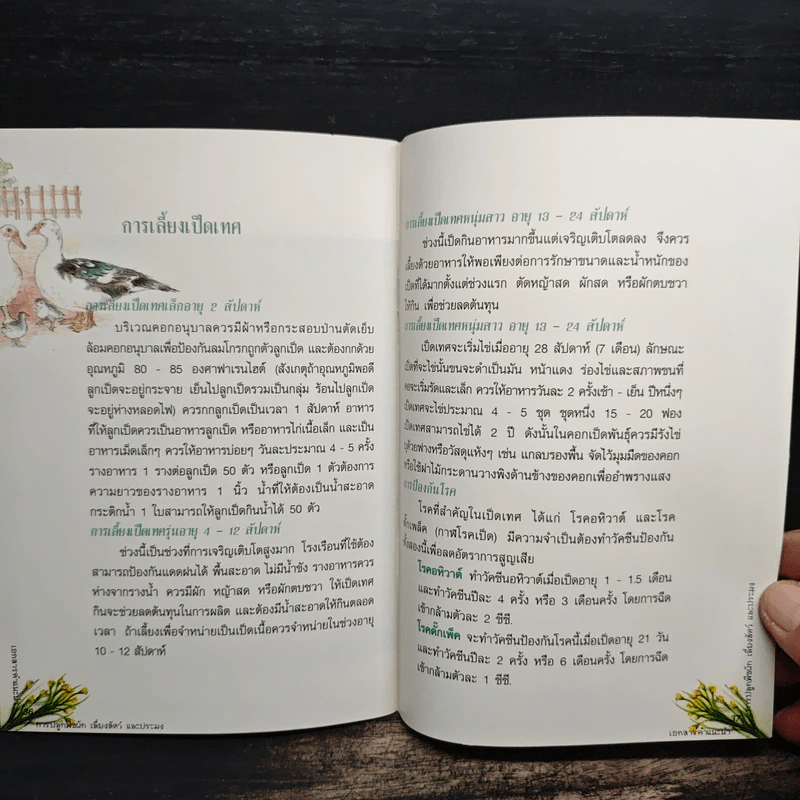 เอกสารคำแนะนำ การปลูกพืชผัก เลี้ยงสัตว์ และประมง รูปที่ 8