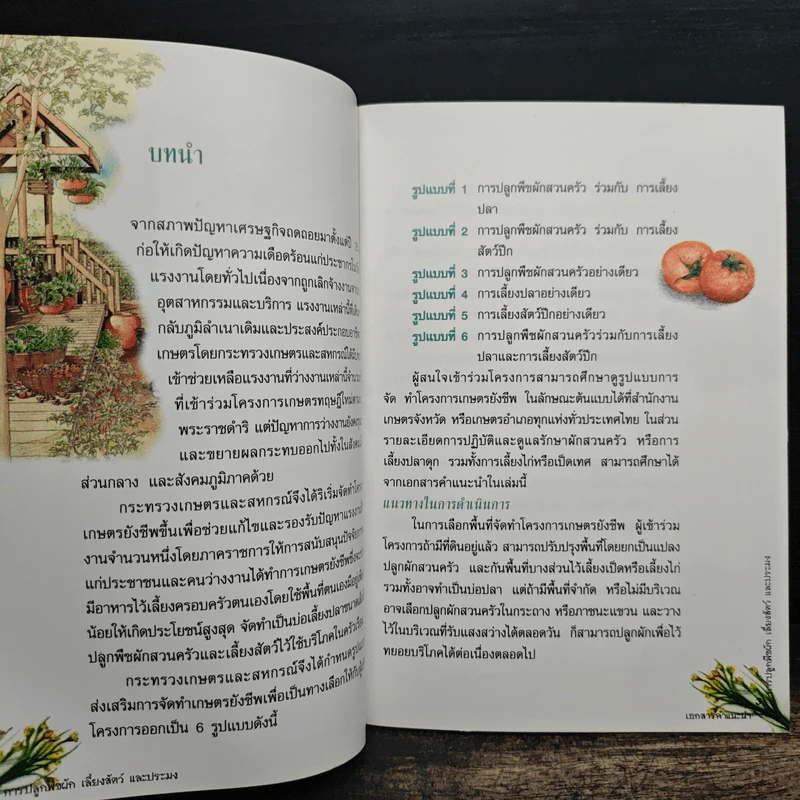 เอกสารคำแนะนำ การปลูกพืชผัก เลี้ยงสัตว์ และประมง รูปที่ 7