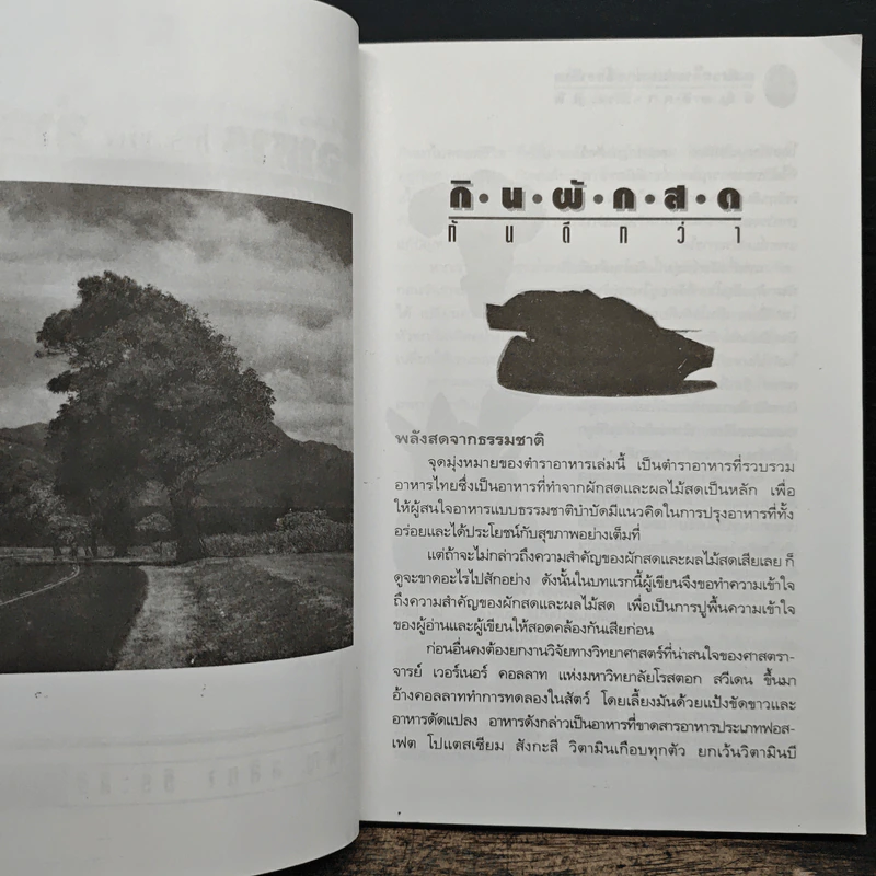 อาหารในระหว่างล้างพิษ และอาหารแนวธรรมชาติบำบัด - พญ.ลลิตา ธีระสิริ รูปที่ 8