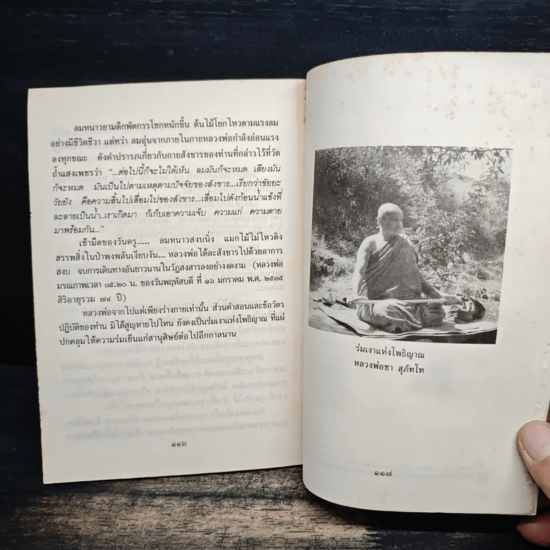 ใต้ร่มโพธิญาณ - หลวงพ่อชา สุภัทโท วัดหนองป่าพง รูปที่ 10