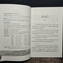 วิญญาณแสนรู้ - ต้นไม้ ใบใหม่ รูปที่ 7